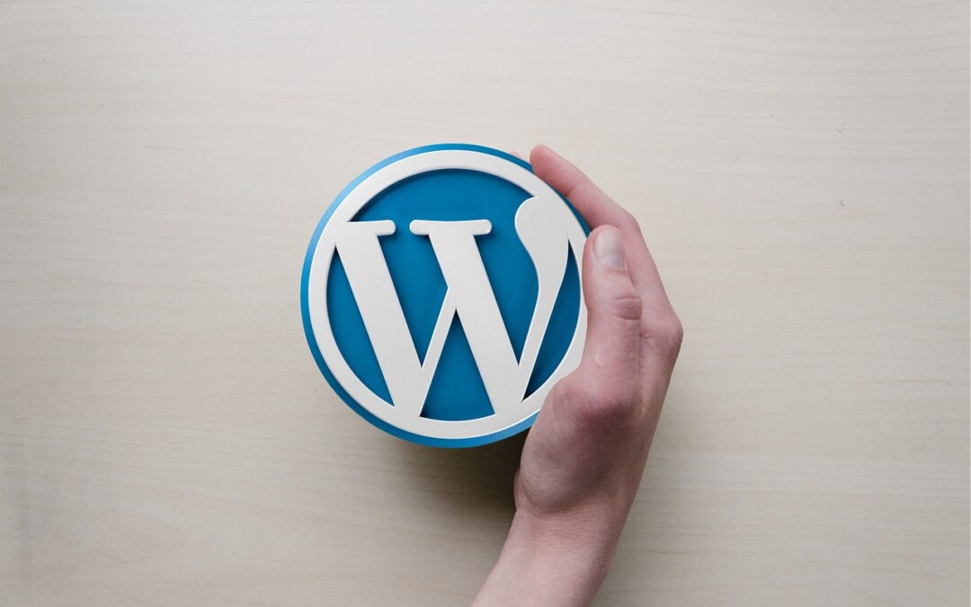 Hoe maak je een back-up van je WordPress-website?