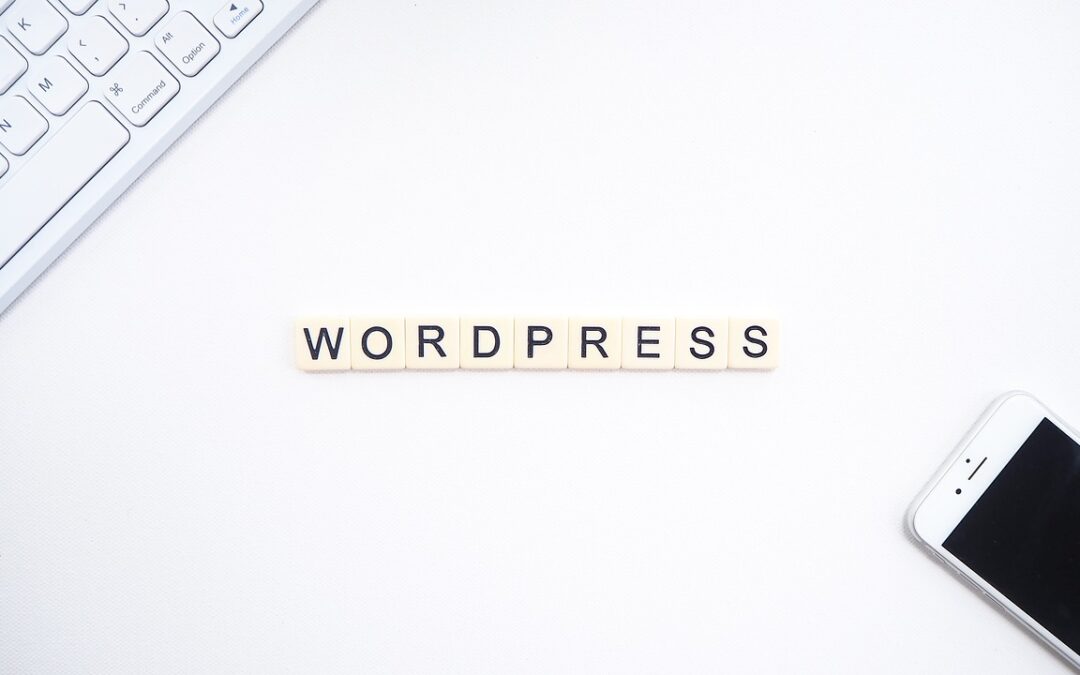 Hoe gebruik je shortcodes in WordPress?